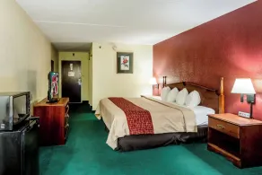 Red Roof Inn Morehead - Værelse