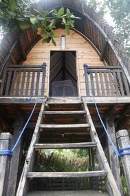 Moon Isle Beach Bungalow - Værelse