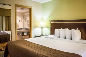 Clarion Pointe Tampa-Brandon Near Fairgrounds and Casino - Chambre