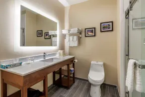 Comfort Suites West Memphis I-40 I-55 - Salle de bain