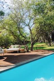 Taj Bush Lodge - Pool