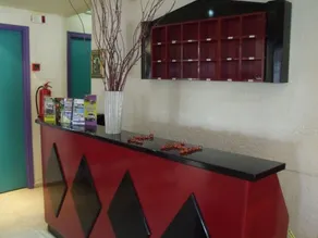Litsa Studios - Reception