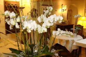 Auberge St-Laurent - Restaurant
