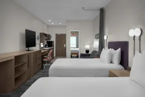 Home2 Suites By Hilton El Paso East Loop 375 - Rum