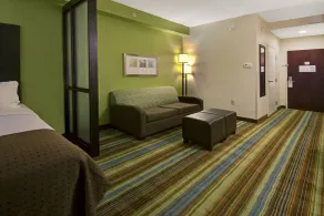Holiday Inn Christiansburg Blacksburg by IHG - Chambre