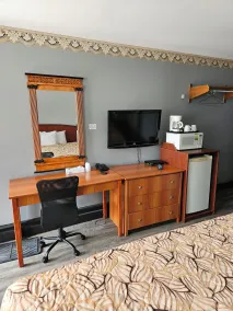 Forest Plaza Motel - Room