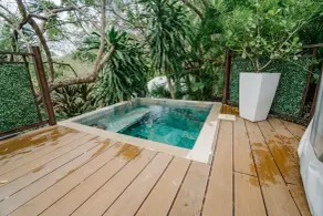 Glamping Tortuga Verde - Pool