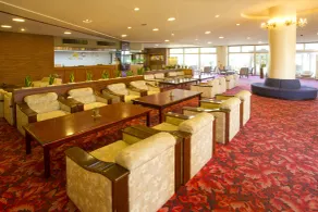 Yunoyama-onsen Green Hotel - Lobby