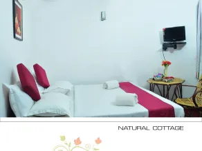 Punarjani Ayurvedic Resorts - Værelse