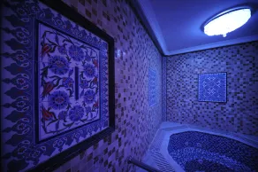 Mara Palace Hotel - Basseng