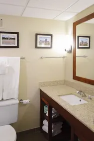 Comfort Inn & Suites Event Center - Salle de bain