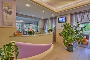 Hotel Europa - Sorico - Reception