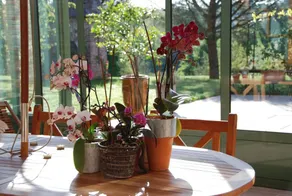 Le Manoir Saint Clair - Restaurant