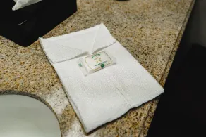 Quality Inn & Suites Monticello - Badeværelse