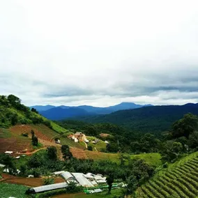 Phu Fahsai Homestay - Vue de la chambre