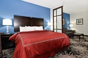 Comfort Suites Greenville - Rom