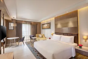 Radisson Blu Hotel Amritsar - Room