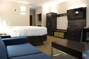Holiday Inn Express Hotel & Suites Kingsport-Meadowview I-26 by IHG - Chambre