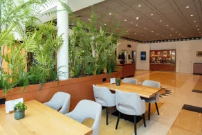Hotel Theater Figi - Recepción