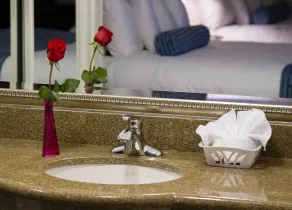Regency Inn in Los Angeles - Bathroom
