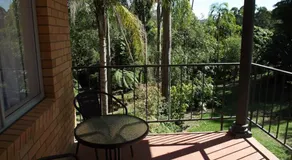 Sanctuary Resort & TreeHouse Restaurant - Room