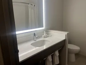 Holiday Inn Express Hotel & Suites St. Paul - Woodbury by IHG - Salle de bain