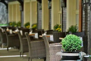 Parkhotel Adler - Restaurant