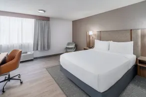 Holiday Inn Dublin - Pleasanton by IHG - Zimmer