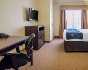 Comfort Suites Elizabethtown - Chambre