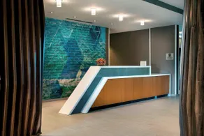 SpringHill Suites by Marriott Tampa Suncoast Parkway - Recepción