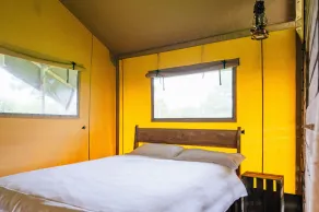 Oak - Quarto