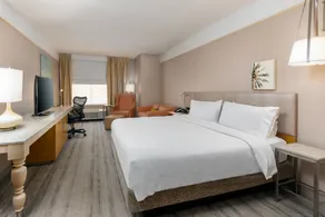 Hilton Garden Inn Ft. Lauderdale SW/Miramar - Chambre