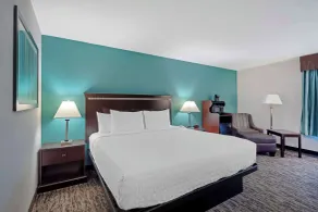 Best Western Plus Chicagoland - Countryside - Chambre