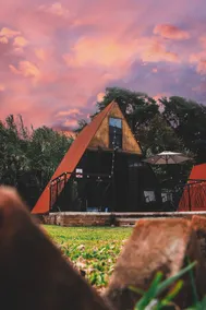 Glamping Nool - Zimmer
