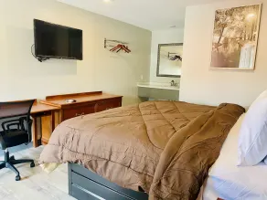 Ozark Inn & Suites - Rum