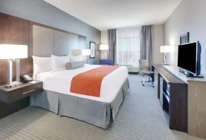 Wingate by Wyndham San Angelo - Chambre