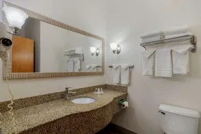 Comfort Suites Stockbridge Atlanta South - Chambre