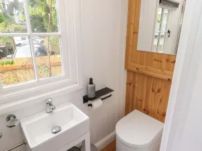 Kings Cwtch Shepherd's Hut - Badeværelse