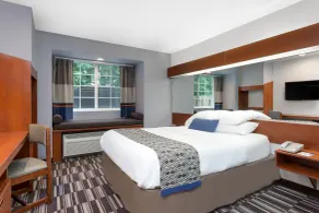 Microtel Inn & Suites by Wyndham Bremen - Room