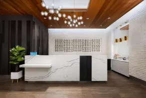 Hilton Garden Inn New York/Times Square Central - Réception