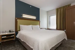 SpringHill Suites by Marriott Charlotte Ballantyne - Chambre
