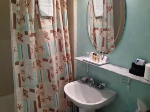 Mango Inn Bed and Breakfast - Salle de bain