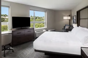 Holiday Inn Boston Logan Airport - Chelsea by IHG - Chambre