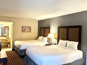 Econo Lodge Forest City - Room