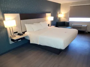 La Quinta by Wyndham Santa Rosa - Chambre