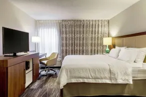 Hampton Inn Minneapolis/St. Paul-Woodbury - Chambre