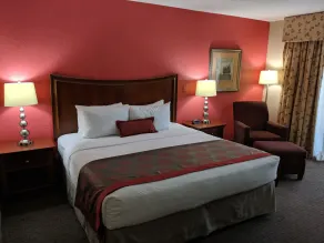 Ramada by Wyndham Raleigh - Chambre