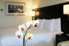 Courtyard by Marriott Panama Metromall - Room
