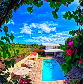 Divers Lodge Plumeria - Pool