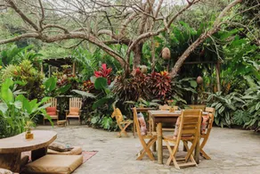 Yay Sustainable - Restaurant